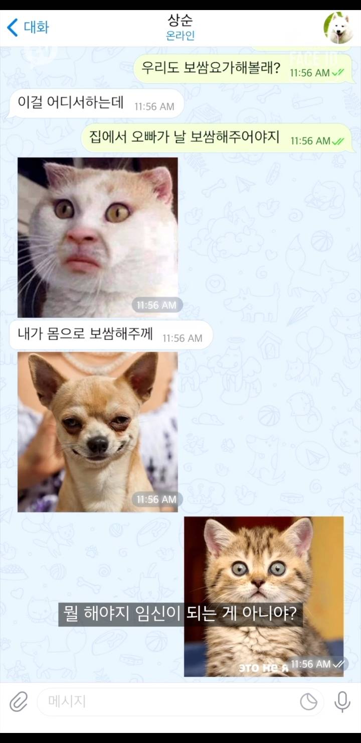 거사를 위해 많은 준비를 하고 있는 이효리.jpg | 인스티즈
