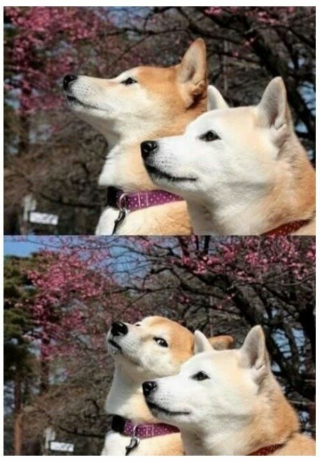 남자화장실.jpg | 인스티즈