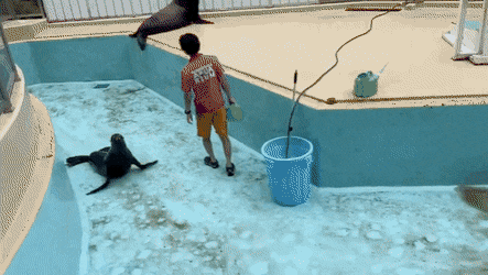 일하는데 옆에서 노는애.jpg | 인스티즈