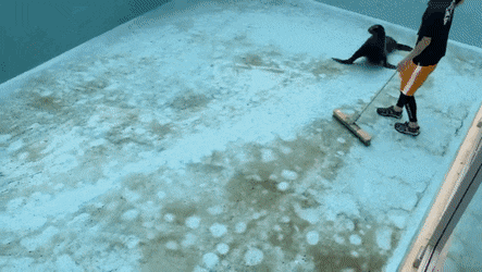 일하는데 옆에서 노는애.jpg | 인스티즈