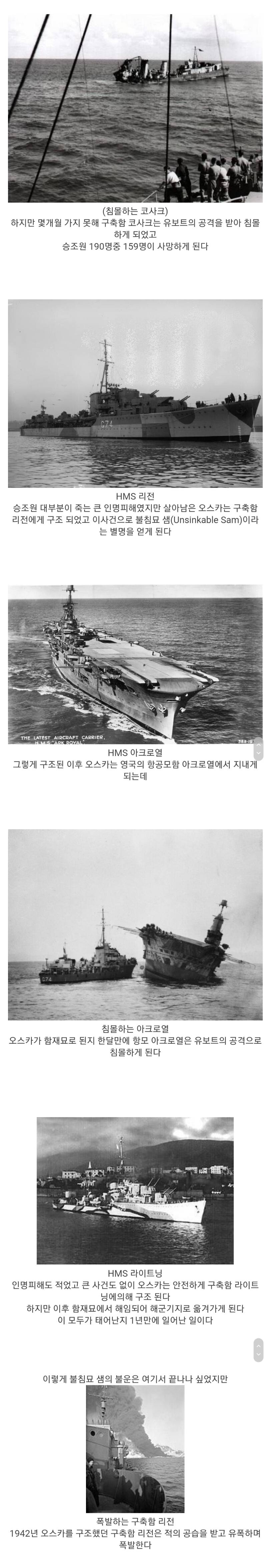 역사상 가장 스팩타클한 냥생을 살았던 고양이 | 인스티즈