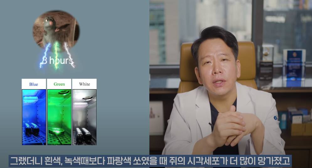 안과의사의 블루라이트 차단안경에 대한 생각 | 인스티즈