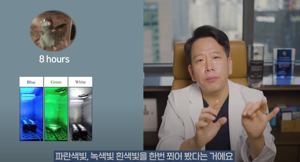 안과의사의 블루라이트 차단안경에 대한 생각 | 인스티즈