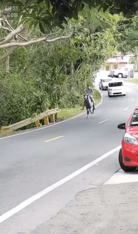 승차감이 편한 페라리 | 인스티즈