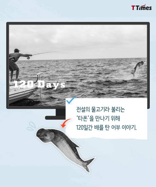 냉장고보다 비싼 아이스박스로 성공한 회사.jpg | 인스티즈