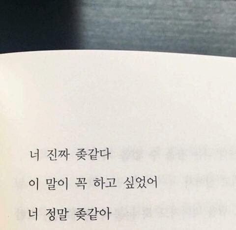 이별한 사람들에게 추천하는 프사 | 인스티즈