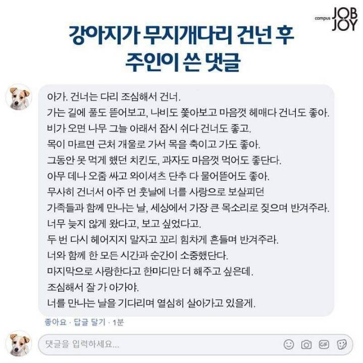 강아지가 무지개다리 건넌후 주인이 쓴댓글 | 인스티즈