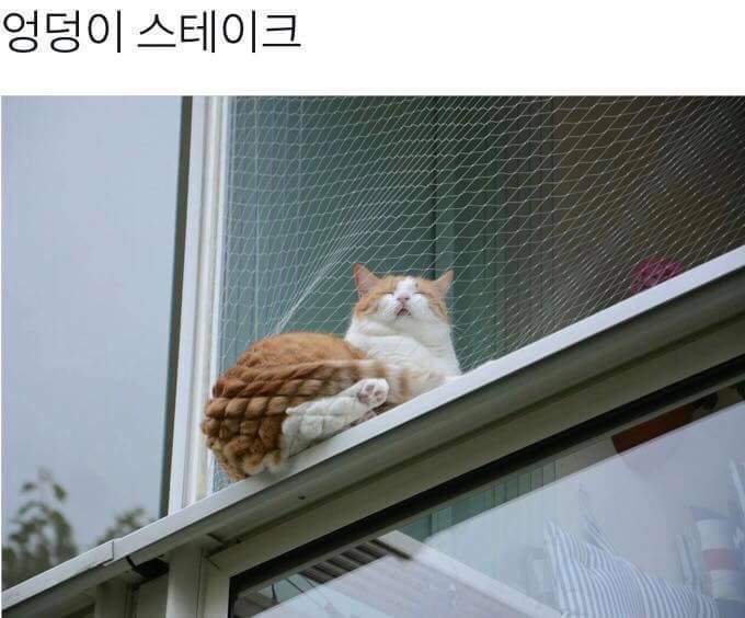 엉덩이 스테이크 | 인스티즈