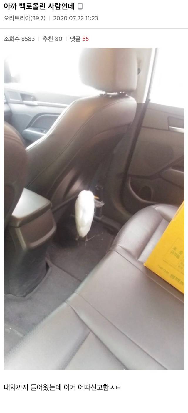 새줍 레전드.jpg | 인스티즈