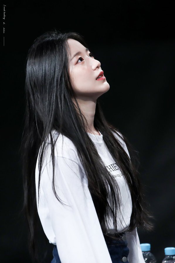 덕질하고 싶은 가상 걸그룹이 있다면? | 인스티즈