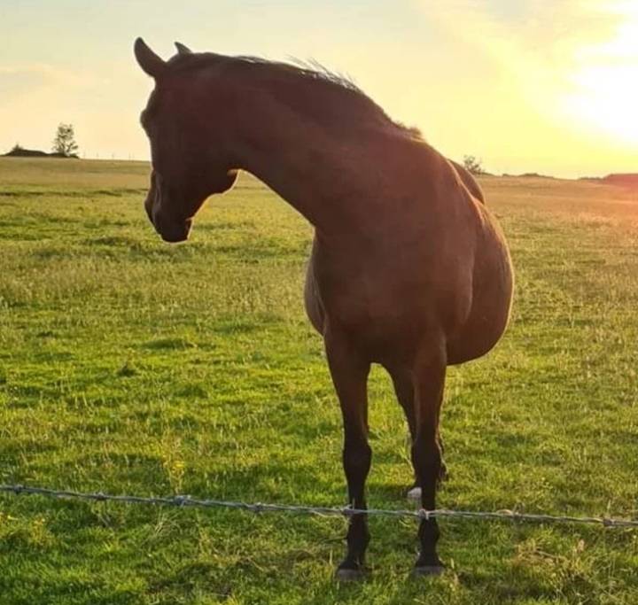 신기한 착시현상.jpg | 인스티즈