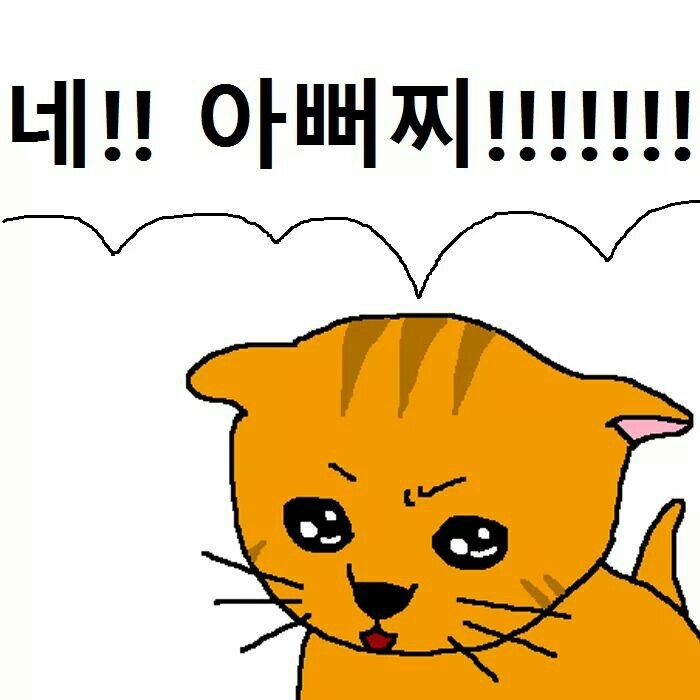 상남자 고양이가 아들 교육하는 만화 | 인스티즈