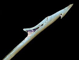 냉혹한 원딜의 세계 | 인스티즈