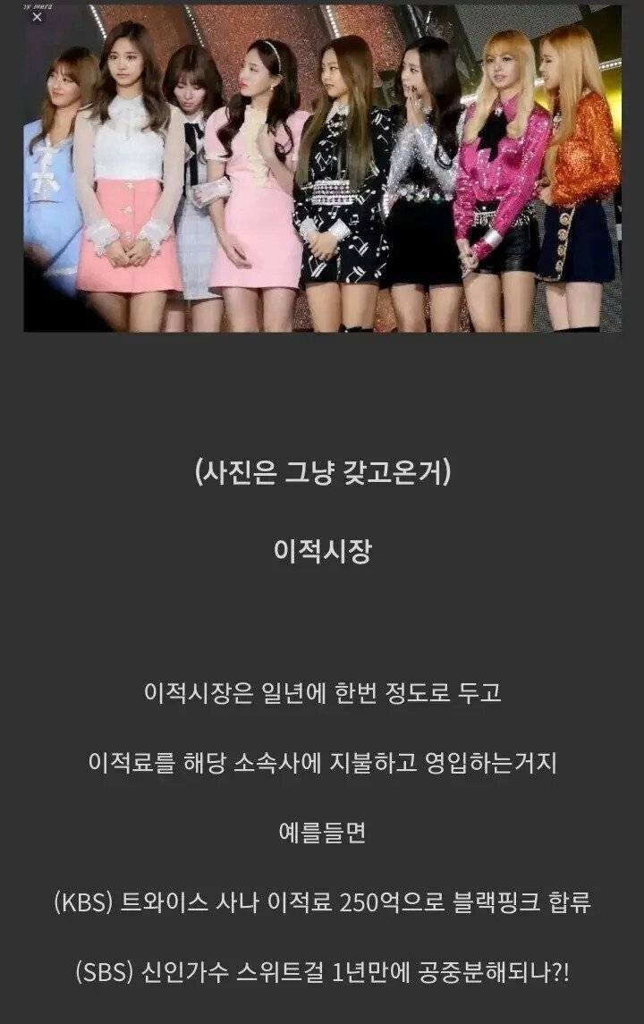 아이돌 시장에 나오면 난리날 제도.jpg | 인스티즈