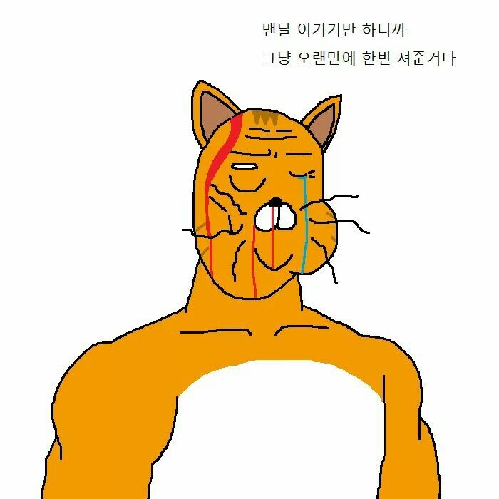 상남자 고양이가 아들 교육하는 만화 | 인스티즈
