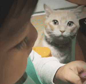 야 너만 먹니? | 인스티즈