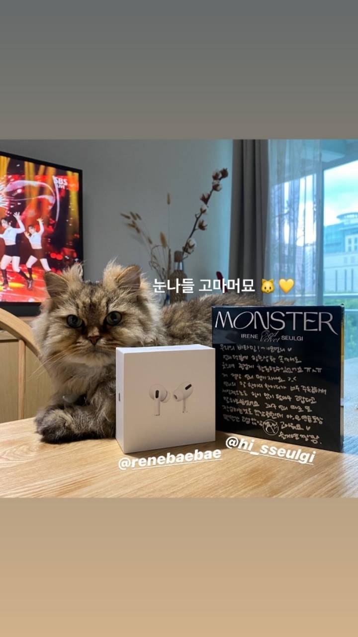 같이 활동한 댄서들에게 에어팟 프로 선물한 아이린 | 인스티즈