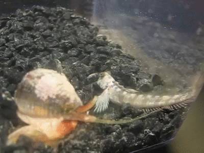 냉혹한 원딜의 세계 | 인스티즈