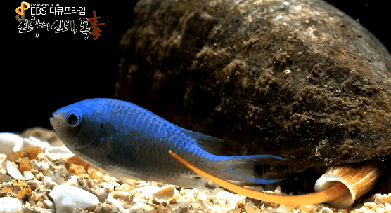 냉혹한 원딜의 세계 | 인스티즈