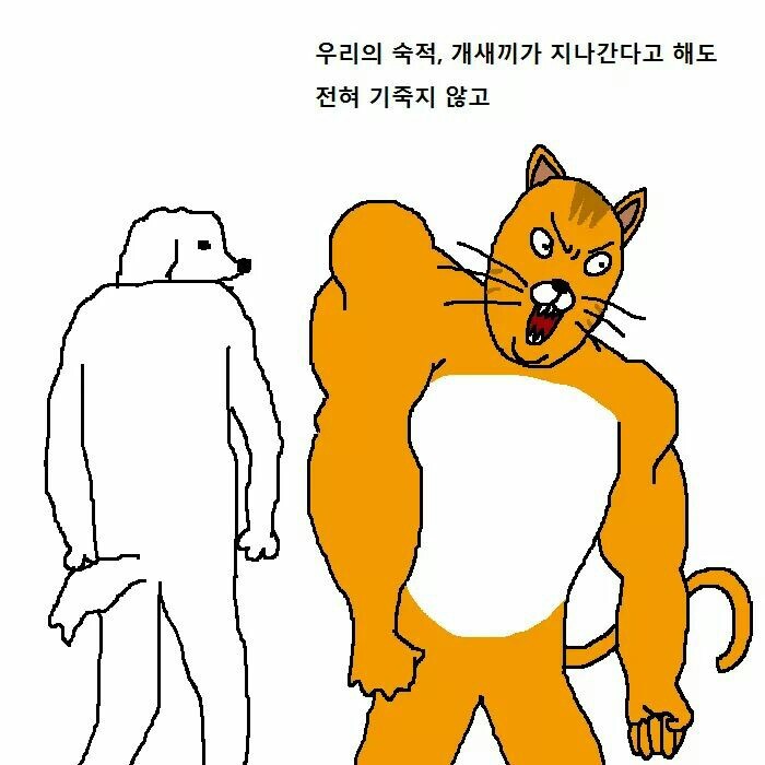 상남자 고양이가 아들 교육하는 만화 | 인스티즈