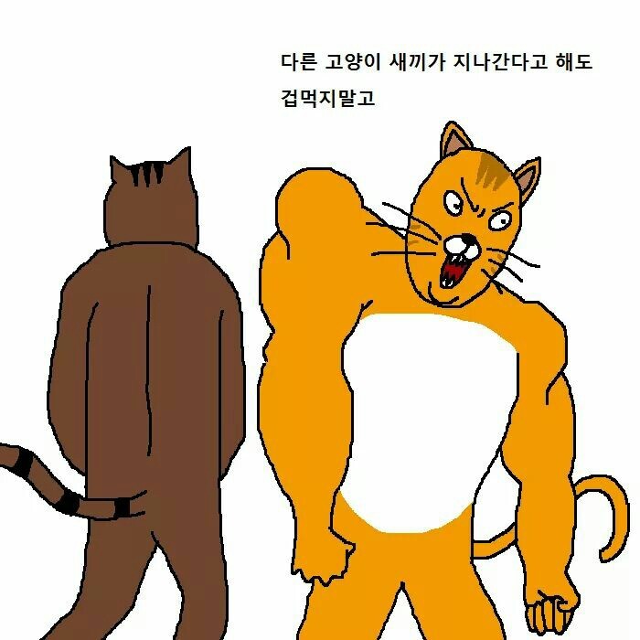 상남자 고양이가 아들 교육하는 만화 | 인스티즈