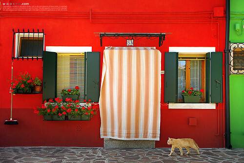 이탈리아 부라노섬 | 인스티즈