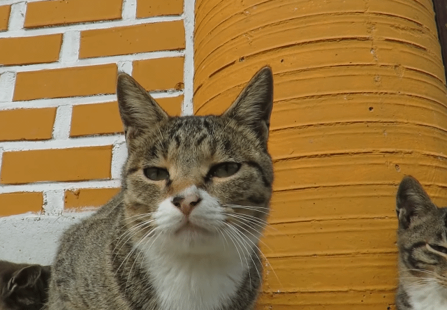 [hahaha] 양어장 일짱 하연님 | 인스티즈