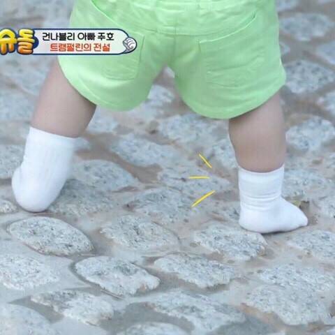 탱인 애기들의 무발목.jpg | 인스티즈