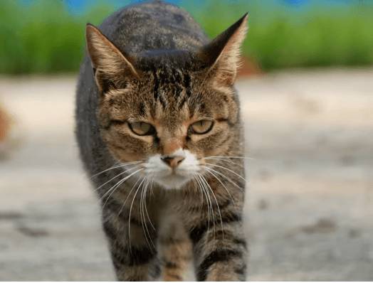 [hahaha] 양어장 일짱 하연님 | 인스티즈