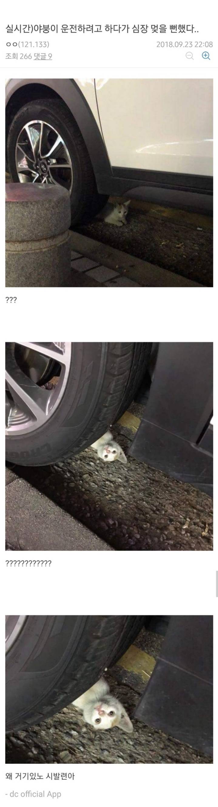 차 빼려다 심장멎을뻔한 야갤러 | 인스티즈
