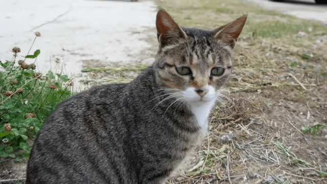 [hahaha] 양어장 일짱 하연님 | 인스티즈