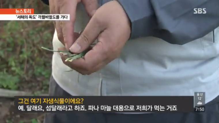 우리나라 진짜 무인도 등대지기 생활 | 인스티즈