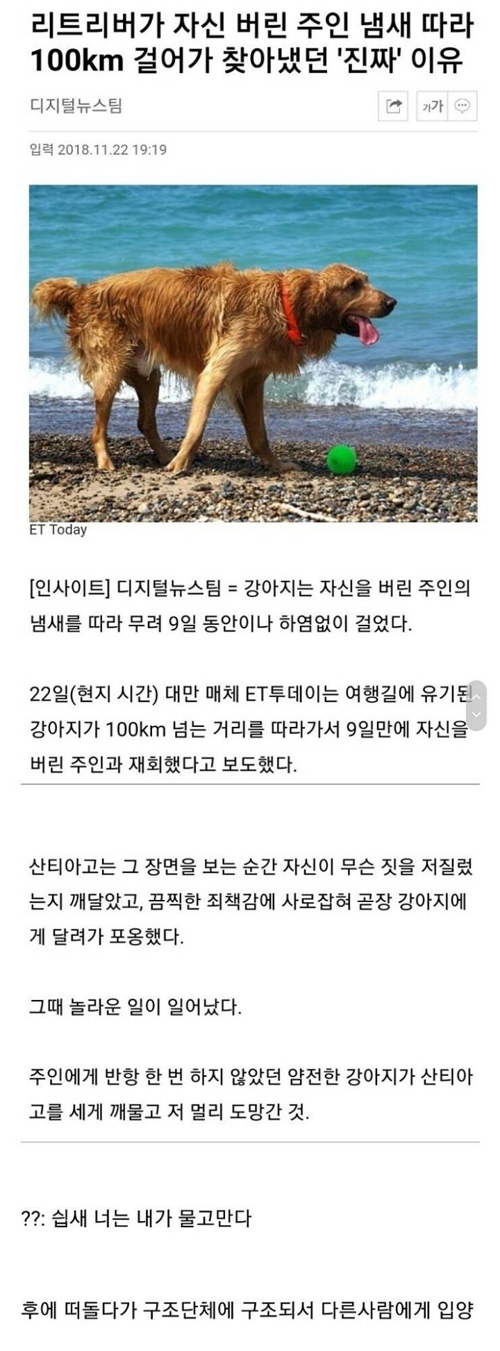 주인이 버렸던 리트리버의 여정 | 인스티즈