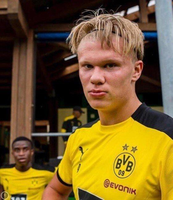 홀란드 3형제 .jpg | 인스티즈