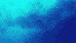 바다에서 상어를 만나면 | 인스티즈