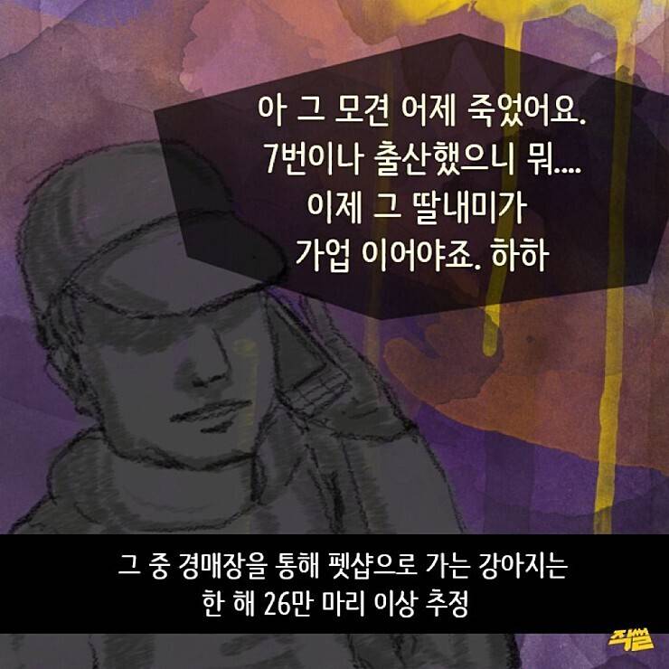 애견샵의 불편한 진실.jpg | 인스티즈