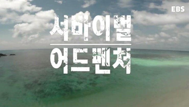한국판 생존왕 UDT/SEAL 이근대위 | 인스티즈