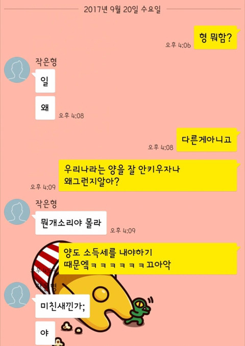 우리나라에서 양을 안 키우는 이유는 뭘까요~? | 인스티즈