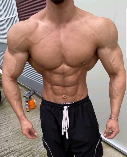 국내 피지크를 1년여만에 접수한 괴물신인 김민수 | 인스티즈