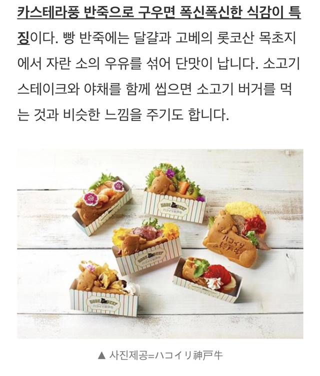한국 붕어빵에서 아이디어 얻은 고베 스테이크 소빵.jpg | 인스티즈