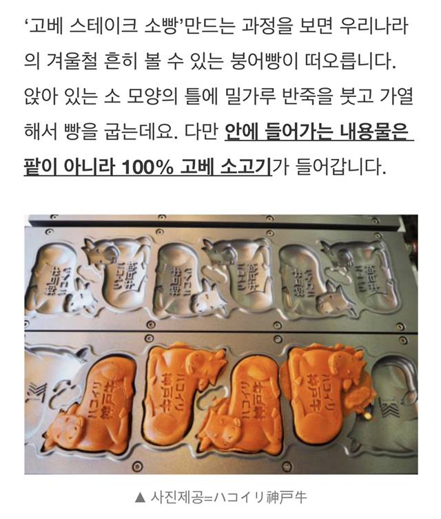 한국 붕어빵에서 아이디어 얻은 고베 스테이크 소빵.jpg | 인스티즈