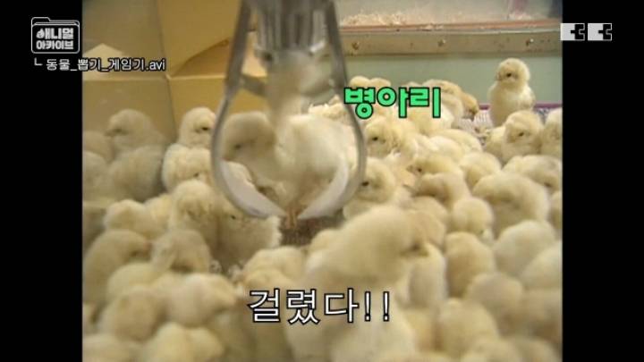 잼민이들은 모르는 저세상 인형뽑기 ㄷㄷㄷㄷ | 인스티즈