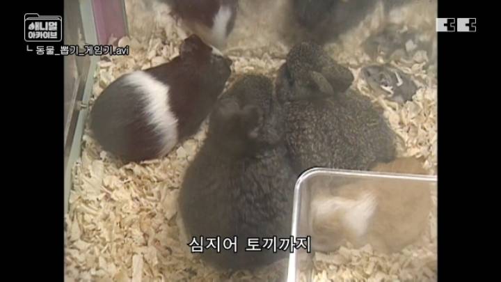 잼민이들은 모르는 저세상 인형뽑기 ㄷㄷㄷㄷ | 인스티즈