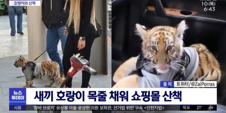 우리 애는 안물어요 | 인스티즈