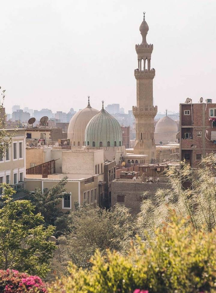 집 콕 세계여행 : 이집트 | 인스티즈