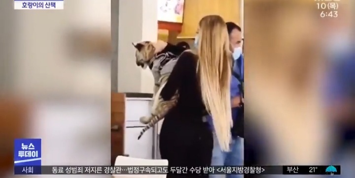 우리 애는 안물어요 | 인스티즈