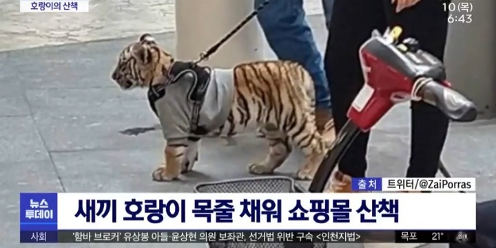 우리 애는 안물어요 | 인스티즈