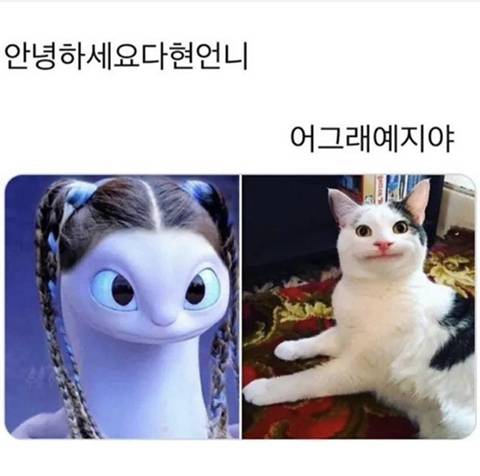 세기의 조랭이 대결 | 인스티즈