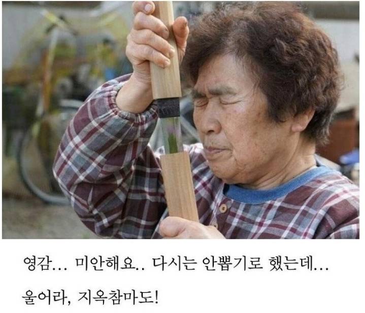 어...이 할멈 안비키면 죽는다구!.jpg | 인스티즈