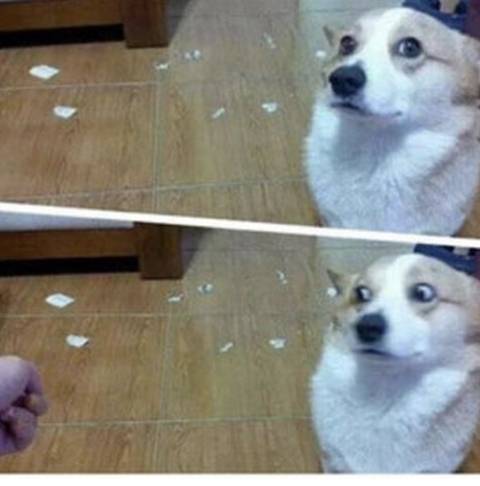 세기의 조랭이 대결 | 인스티즈